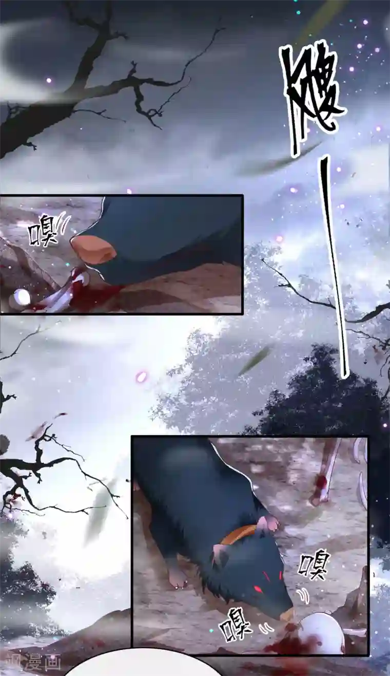 这个王妃路子野第54话 学会给主人捡东西了！