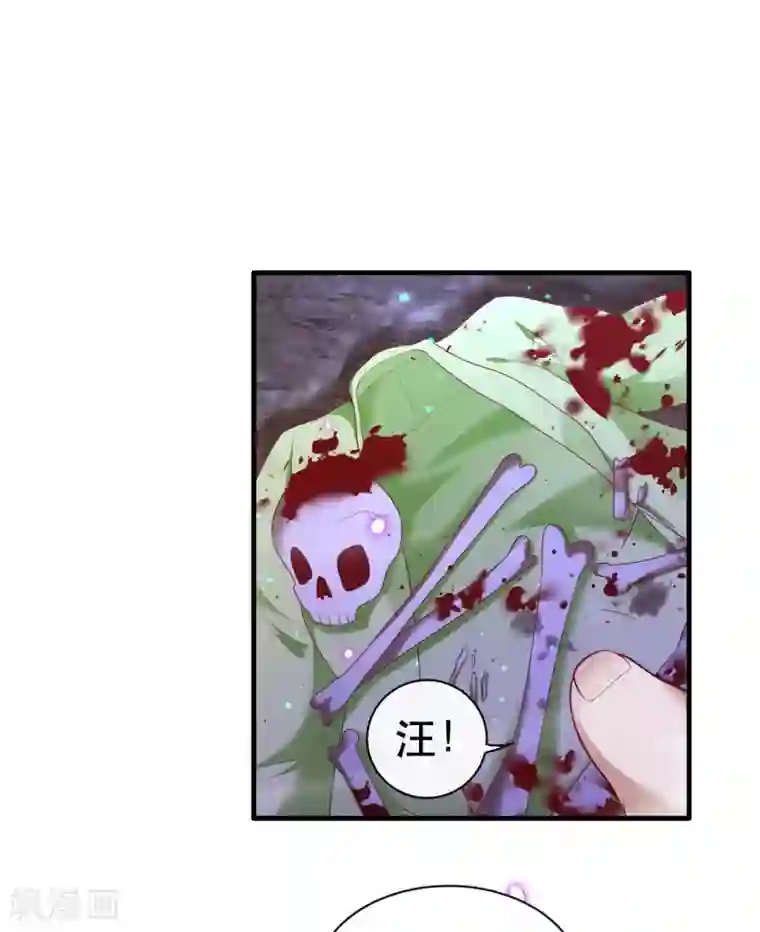 这个王妃路子野第54话 学会给主人捡东西了！