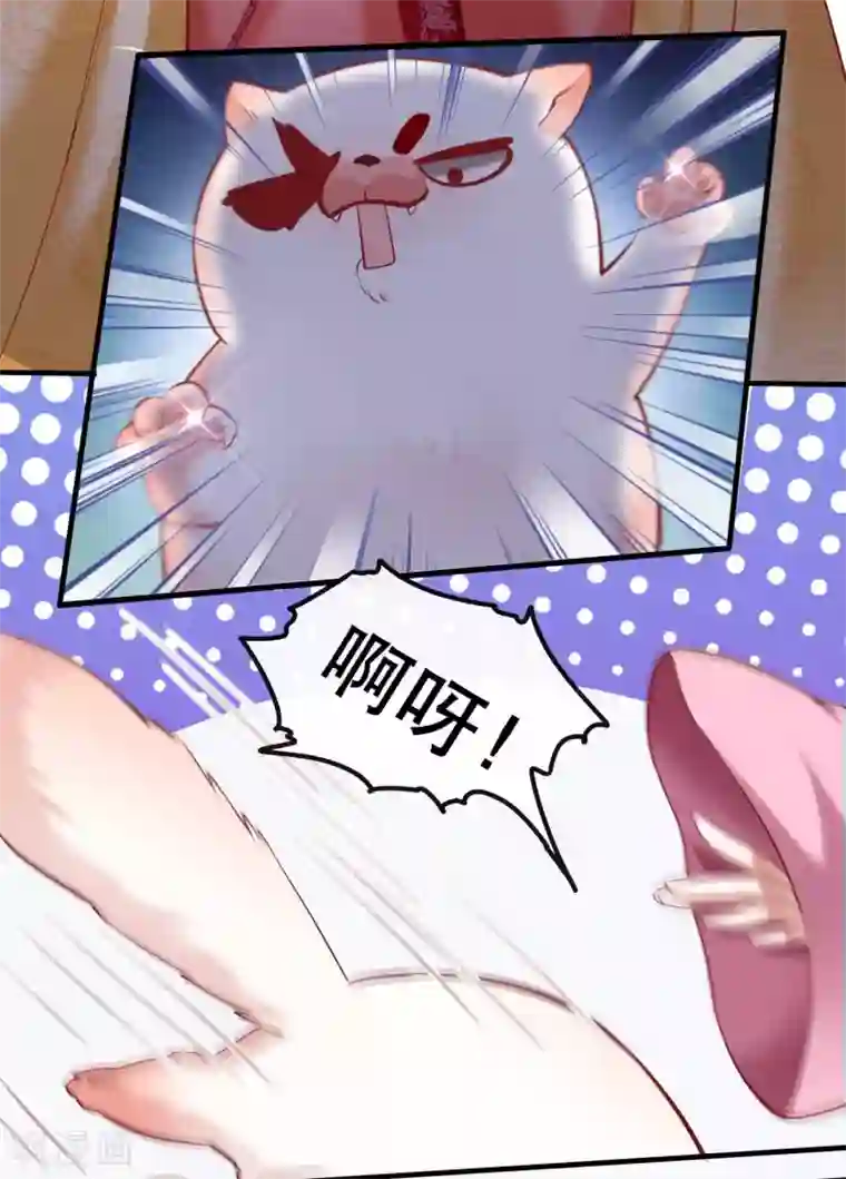 这个王妃路子野第54话 学会给主人捡东西了！