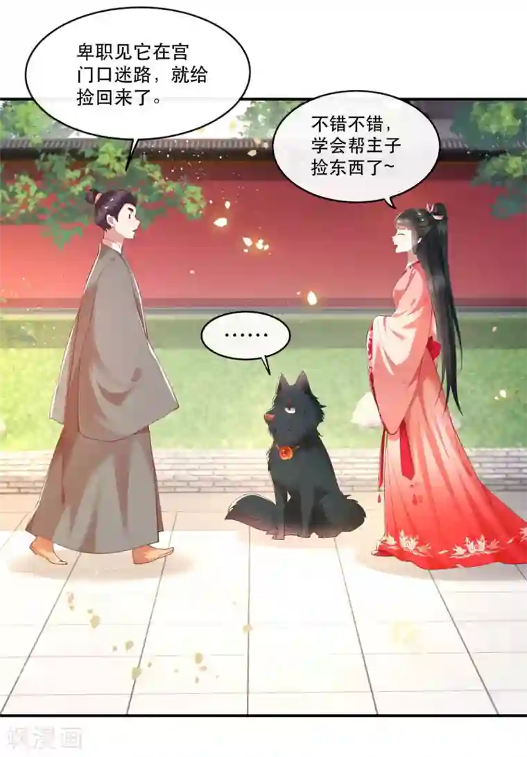 这个王妃路子野第54话 学会给主人捡东西了！