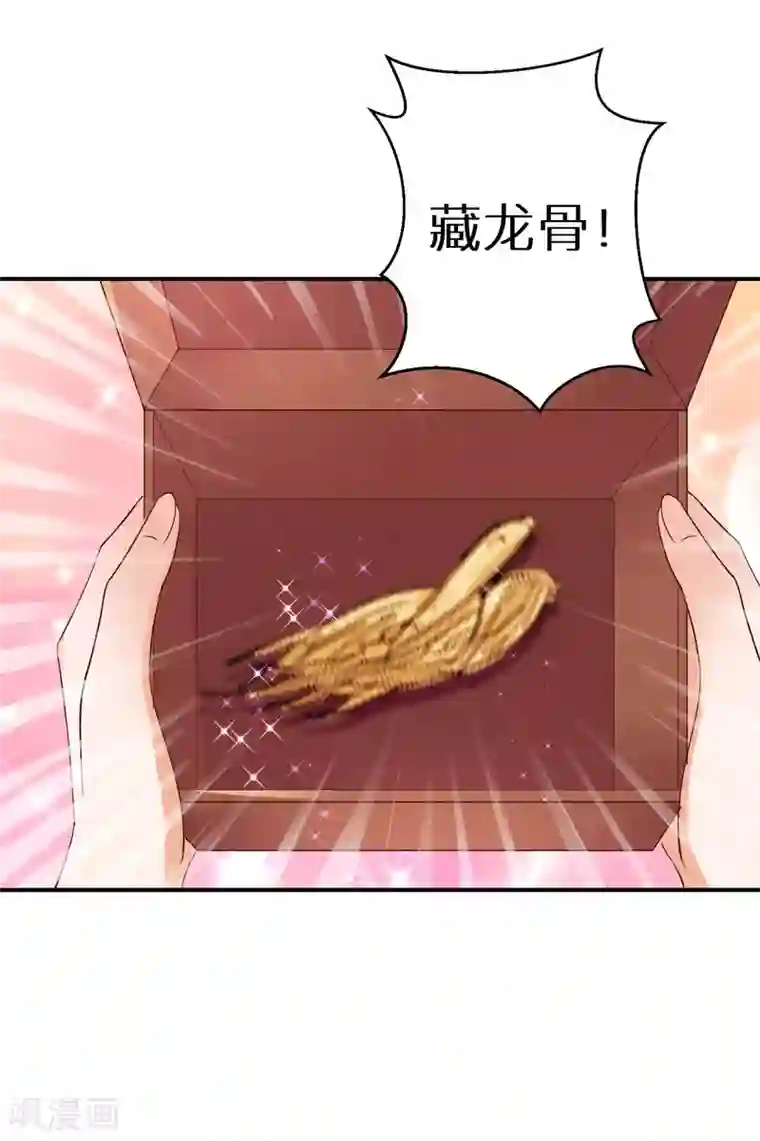 逆天毒妃第90话 温柔客卿