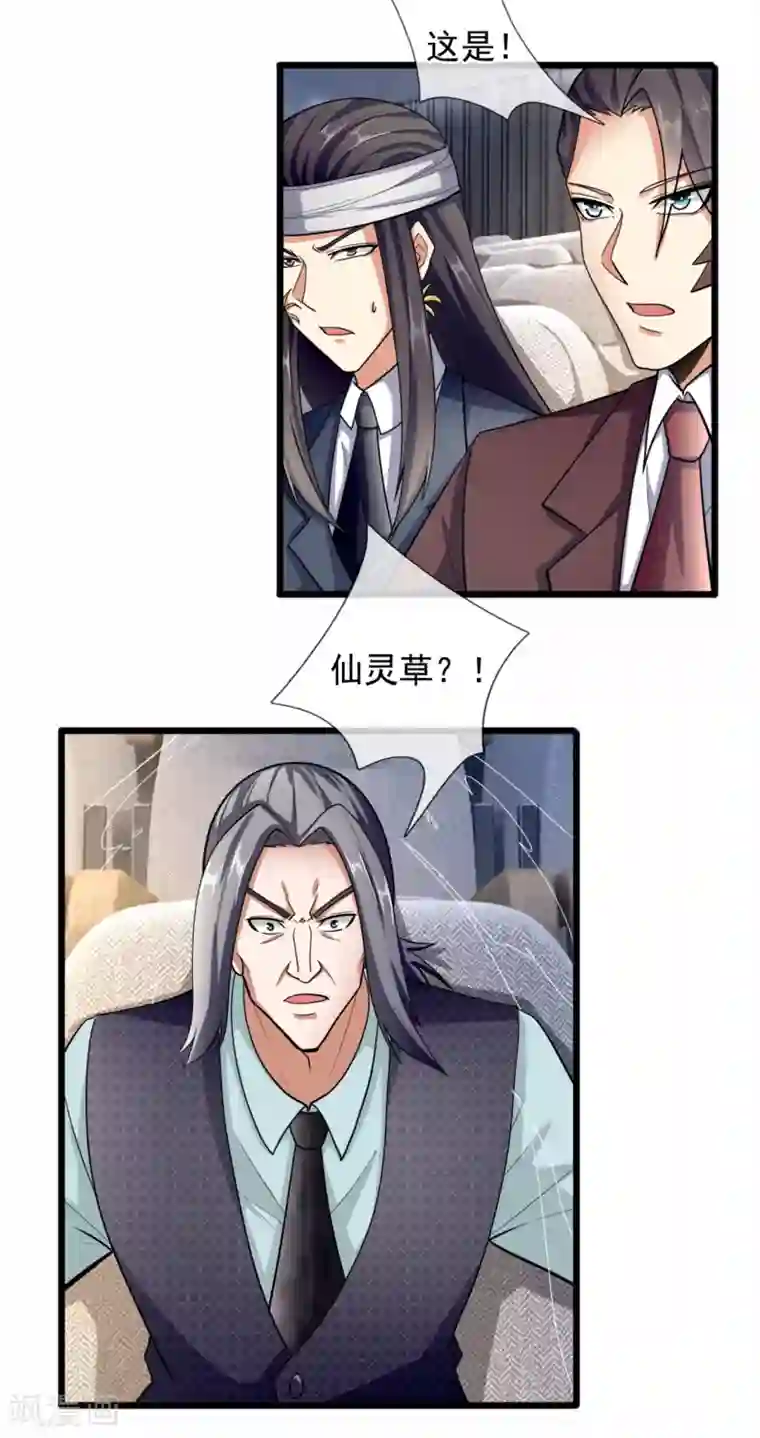 都市之逆天仙尊第184话 一网打尽