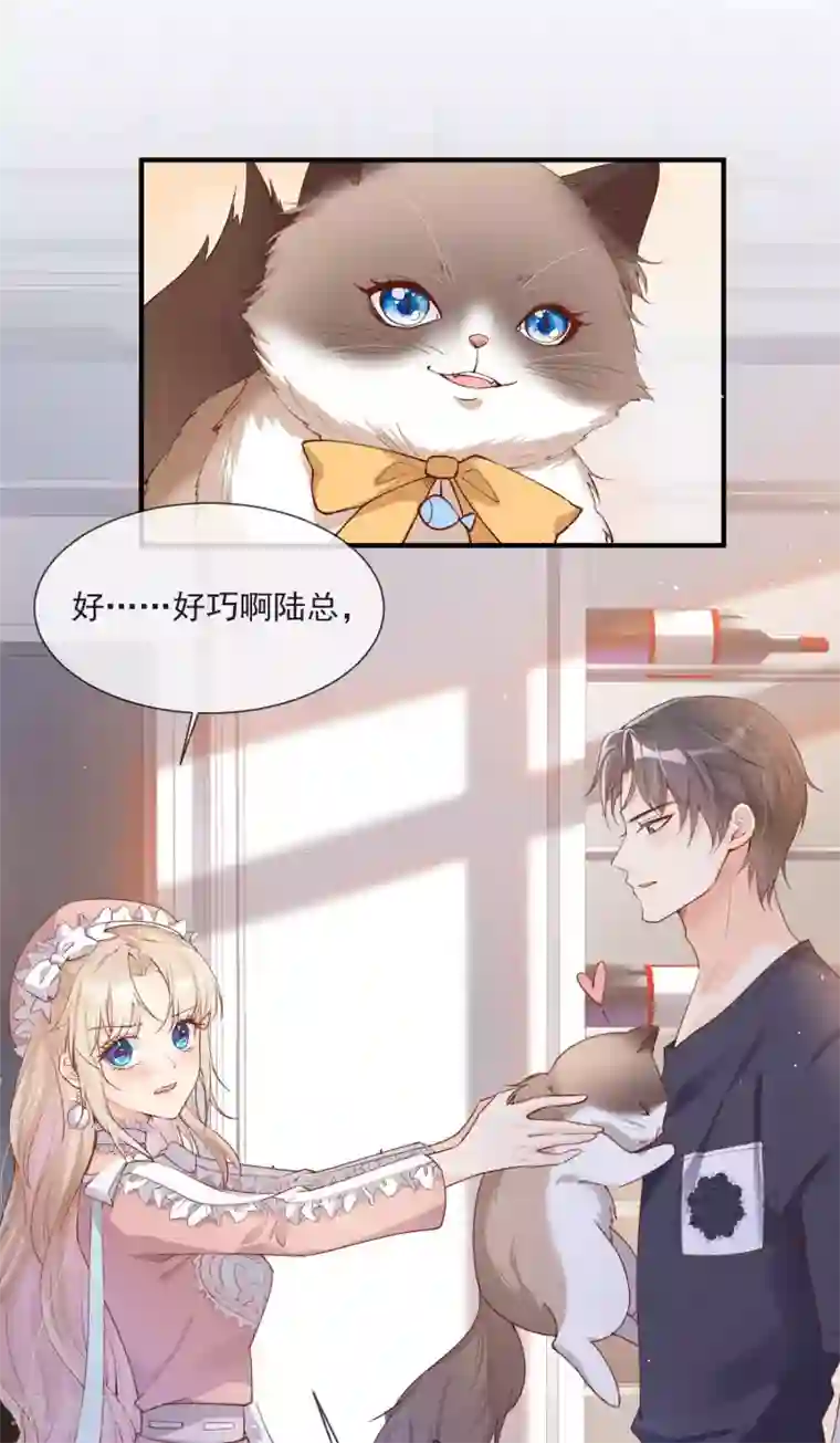 陆总，你老婆又上热搜啦！第4话 你就是那个女4号？