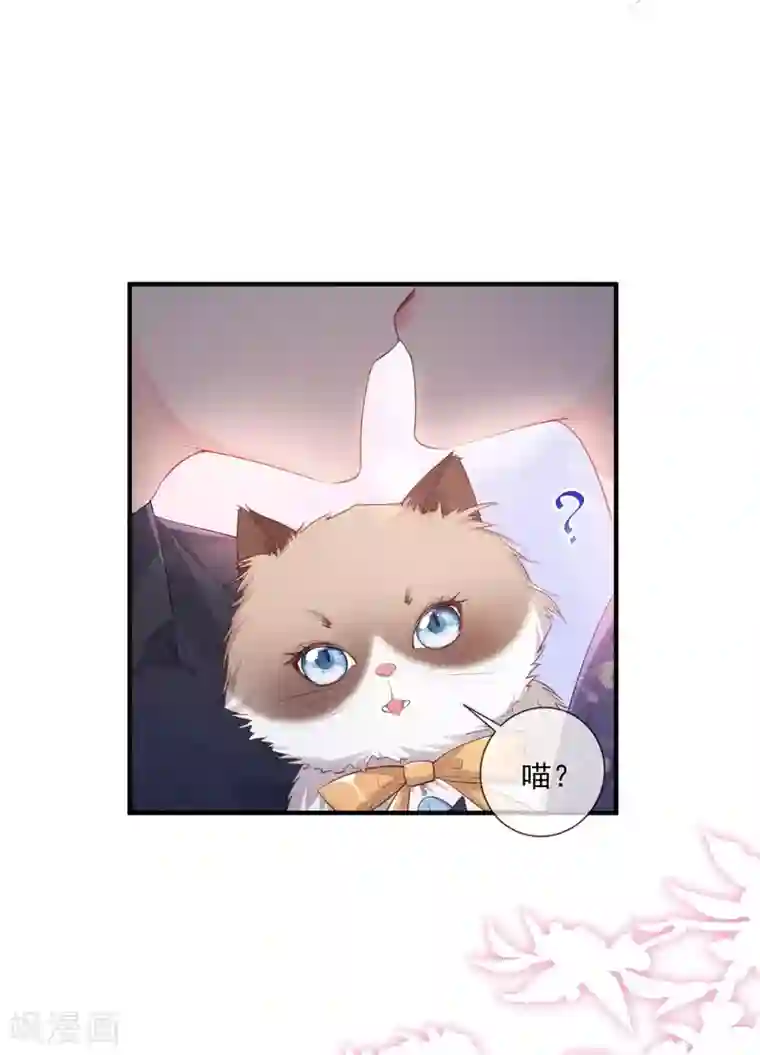 陆总，你老婆又上热搜啦！第4话 你就是那个女4号？