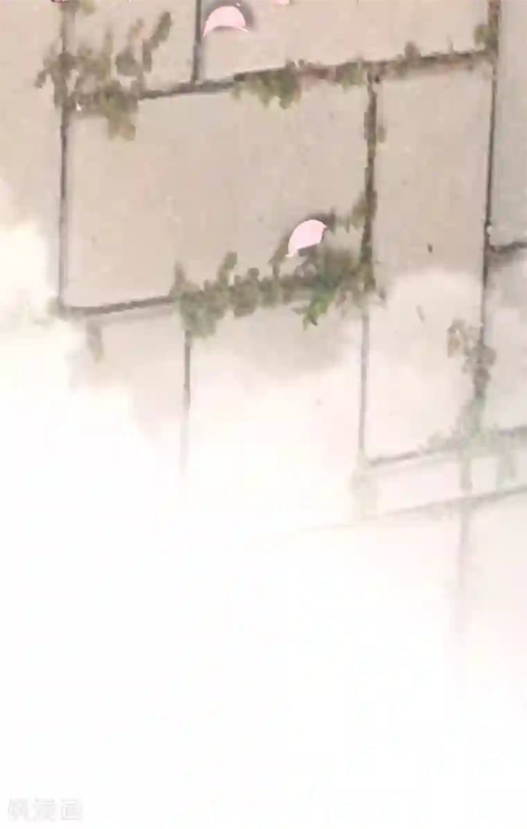 陆总，你老婆又上热搜啦！第4话 你就是那个女4号？