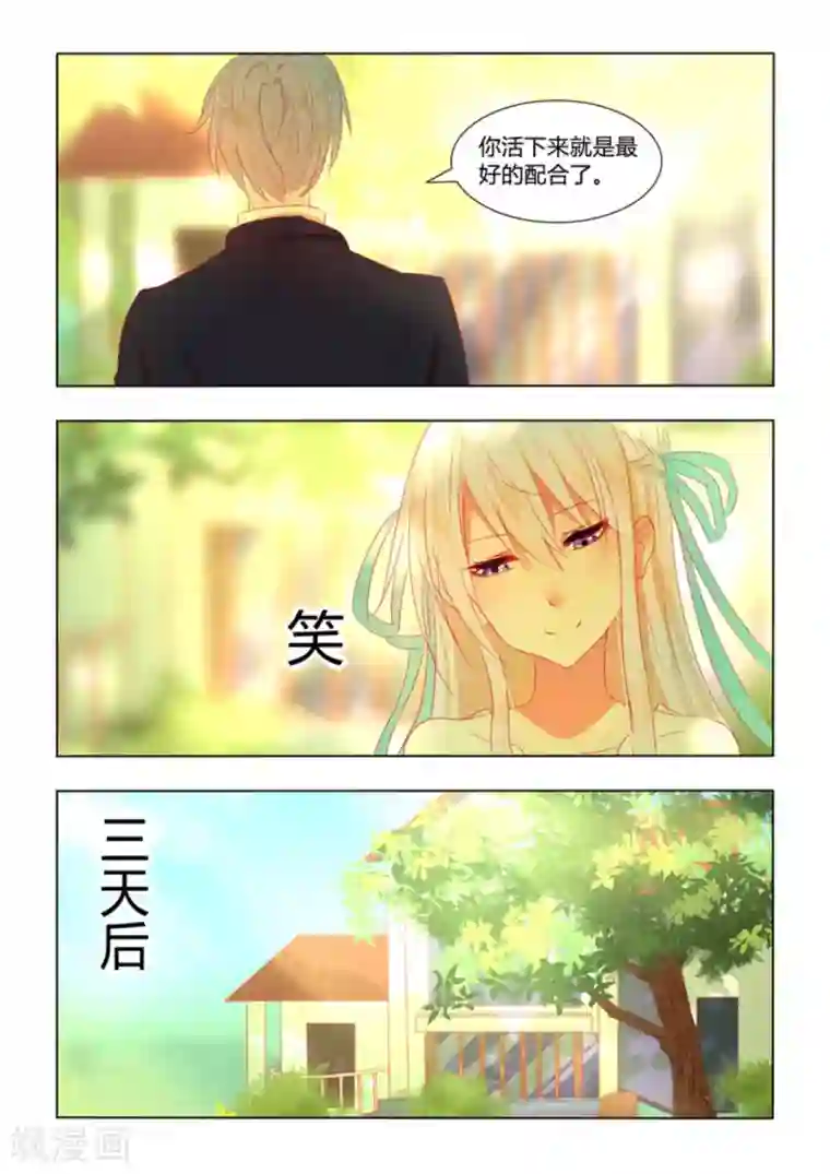 紫色蔷薇第21话