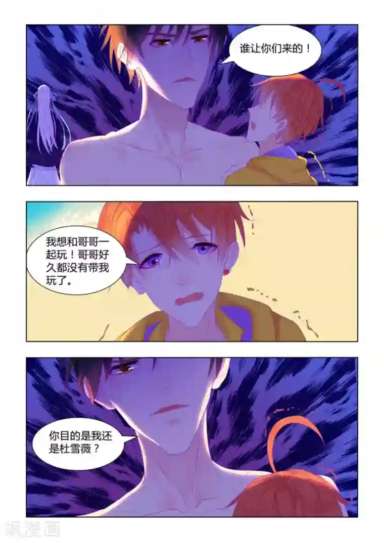 紫色蔷薇第28话