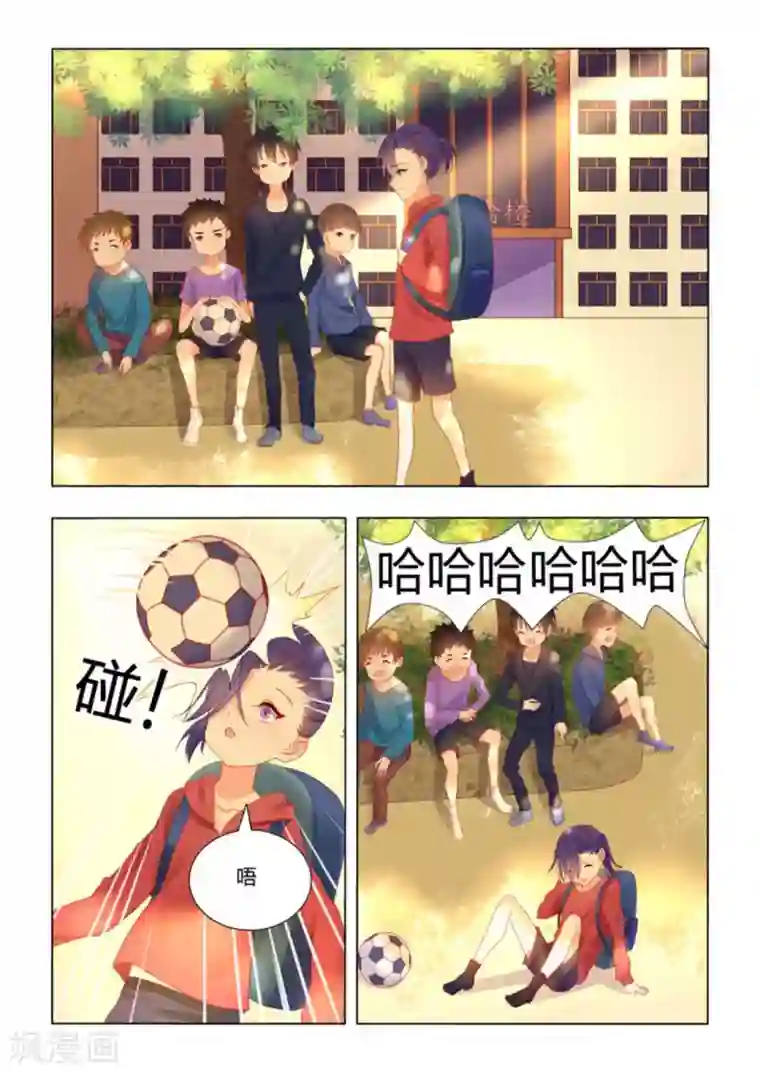 紫色蔷薇第41话