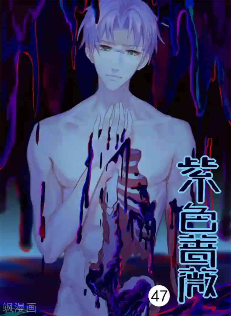 紫色蔷薇第47话