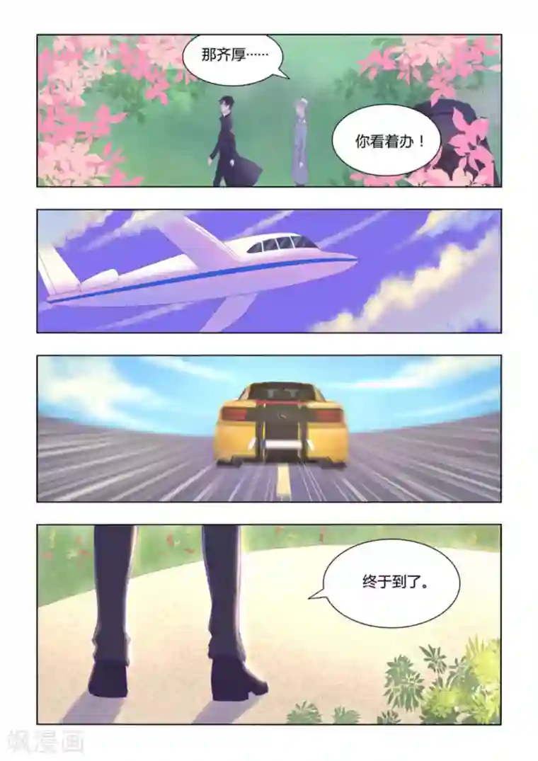 紫色蔷薇第51话