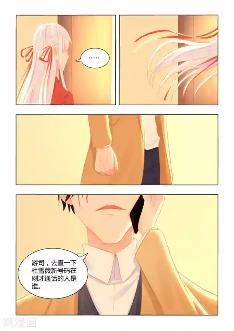 紫色蔷薇第51话