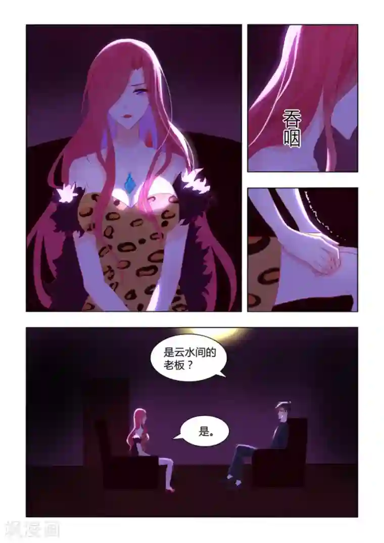 紫色蔷薇第51话