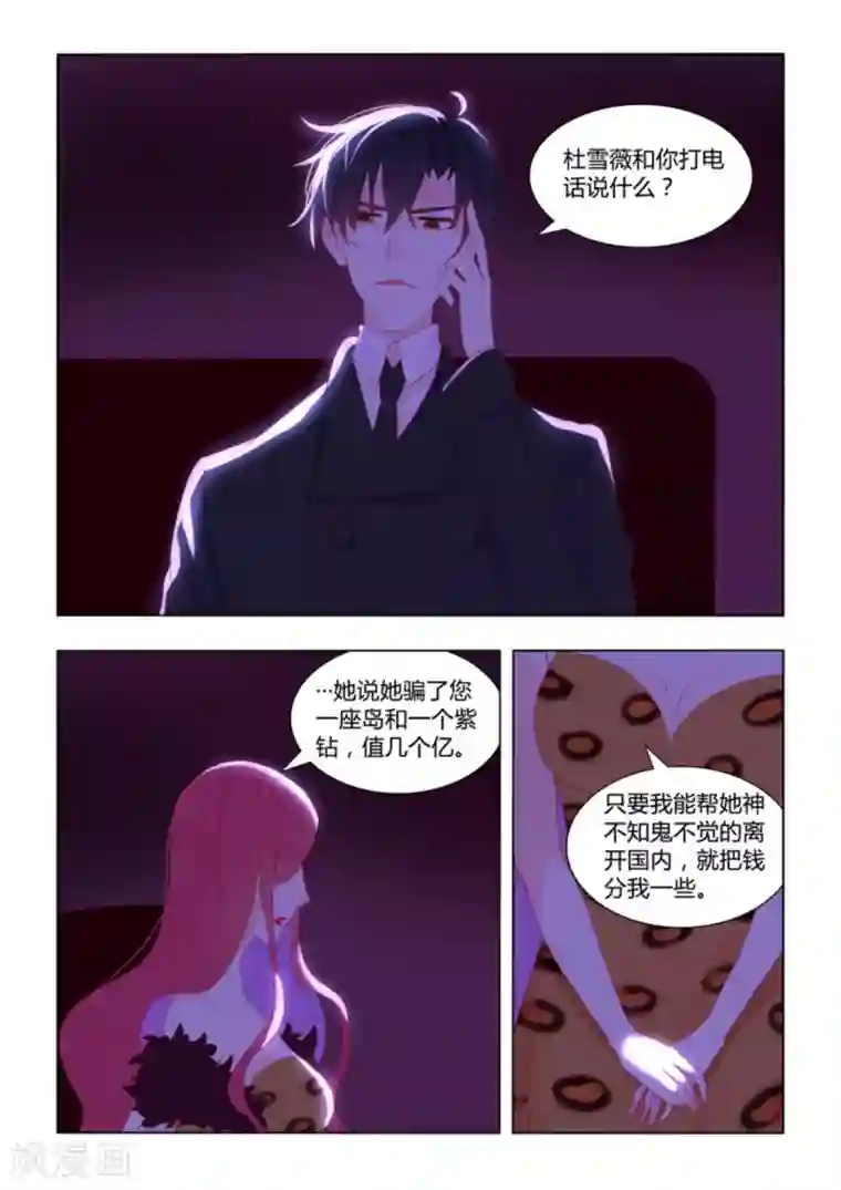 紫色蔷薇第51话