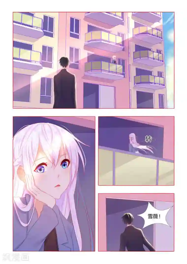 紫色蔷薇第51话