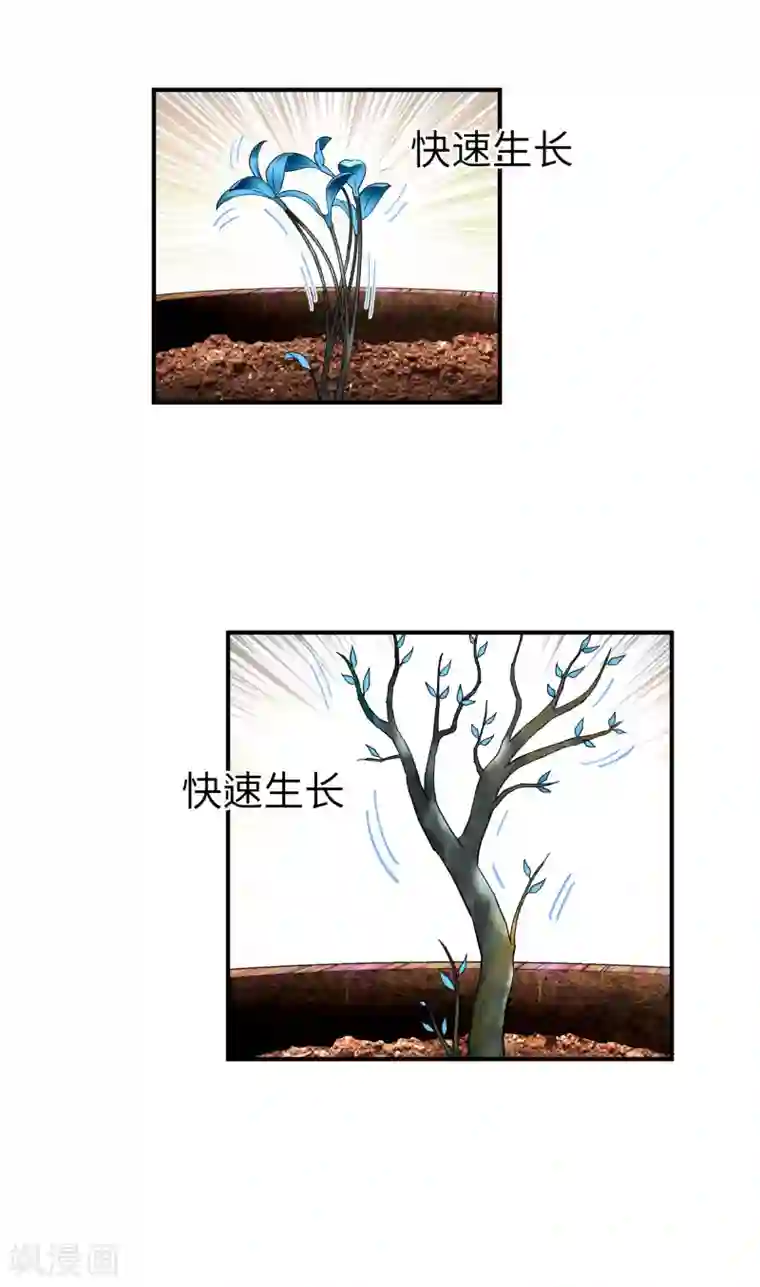 重生之我是大天神第57话 寿礼