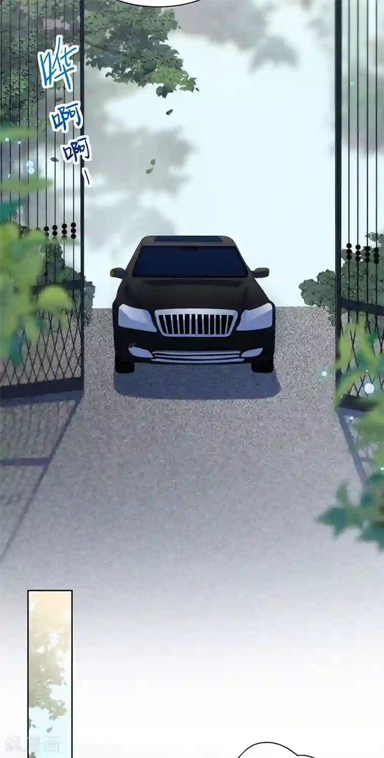 惹上首席总裁第2季246话