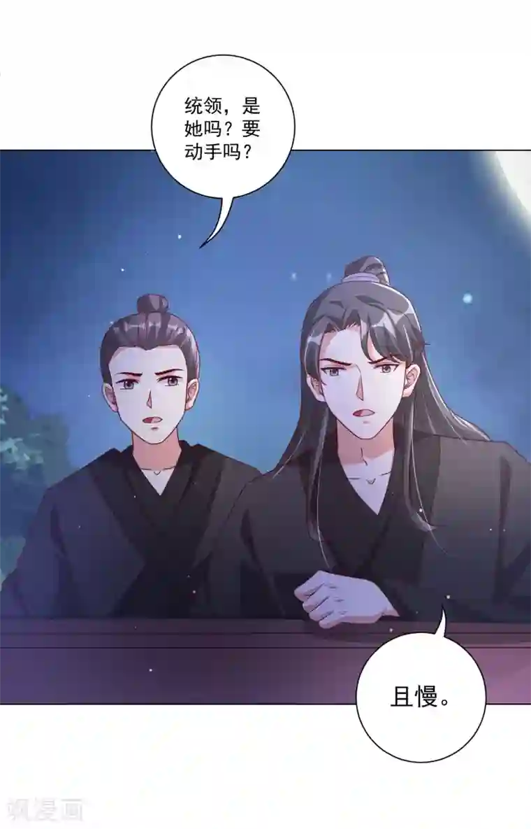 王妃有毒第142话 追捕