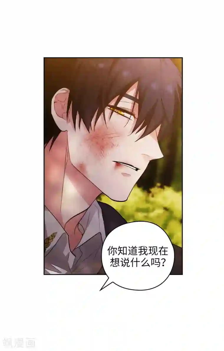 阿多尼斯第317话 你值这么多钱