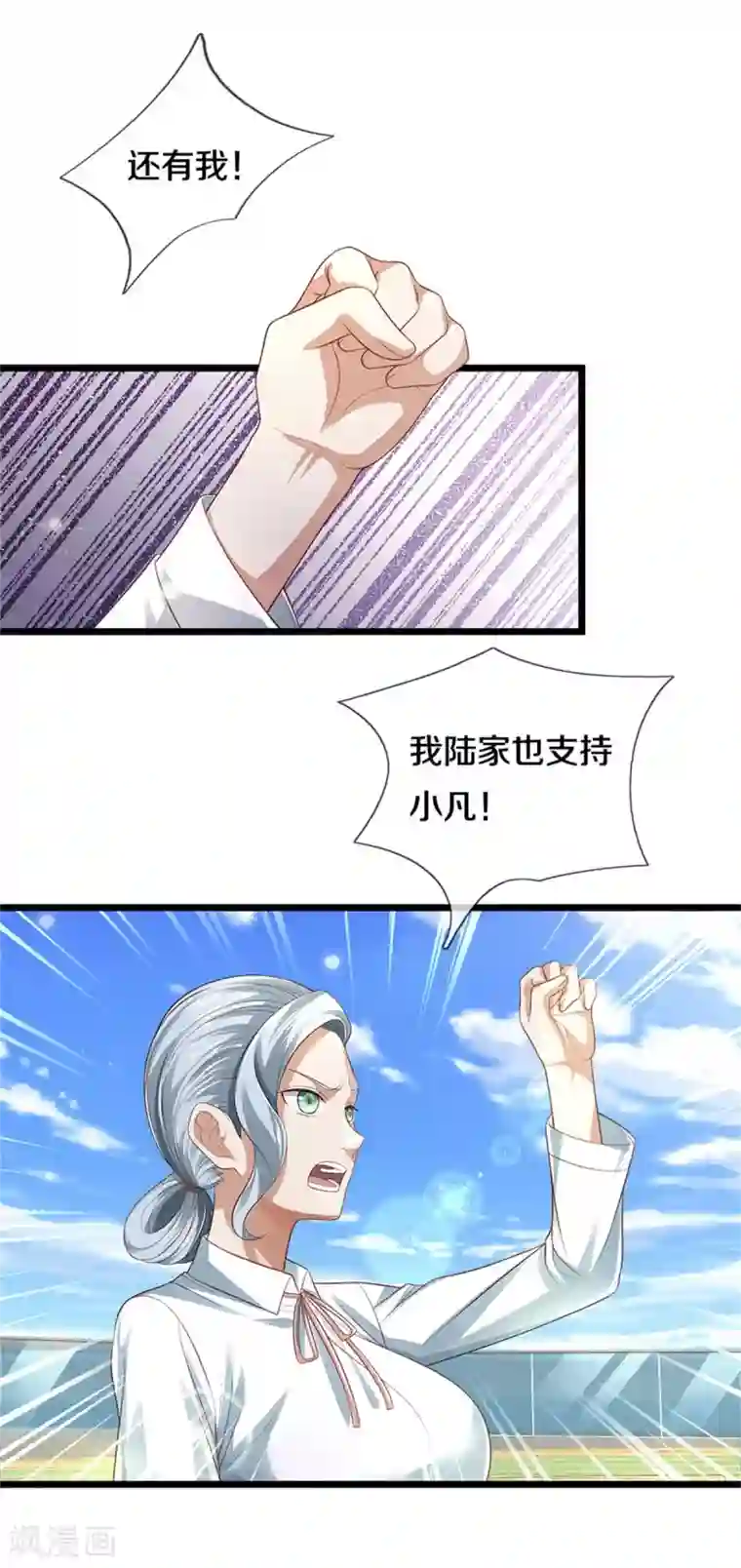 我是大仙尊第300话 龙都王家，支持先生