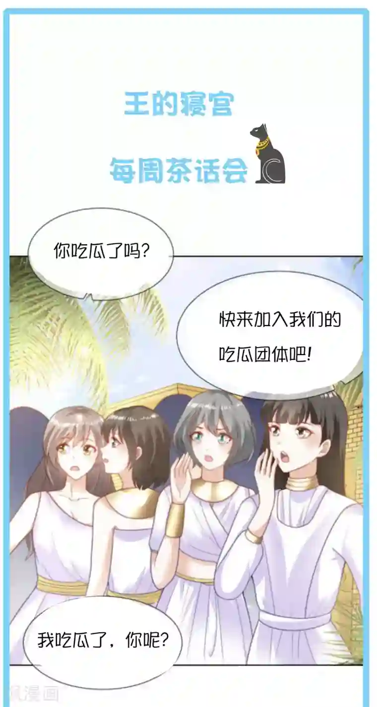 王的第一宠后王的茶话会41 古埃及的黄金发展史