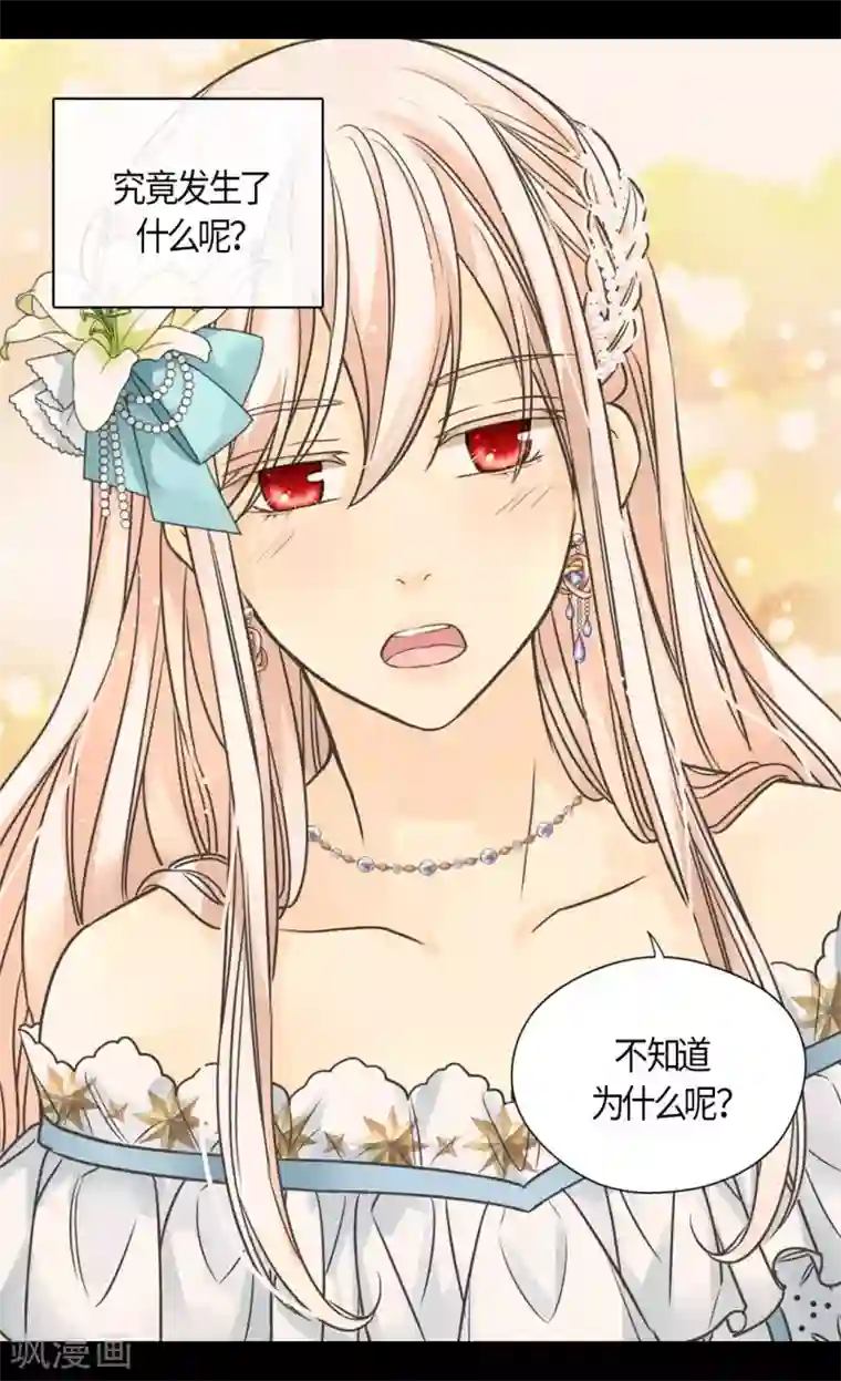 皇帝的独生女第430话 凯特尔的不满