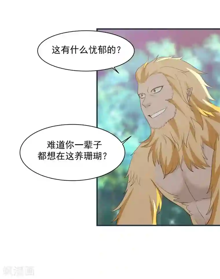 混沌丹神第157话 谈判