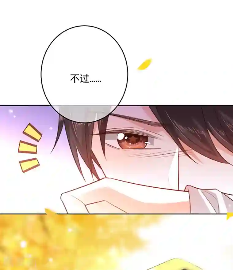 以婚之名第55话 联姻的棋子