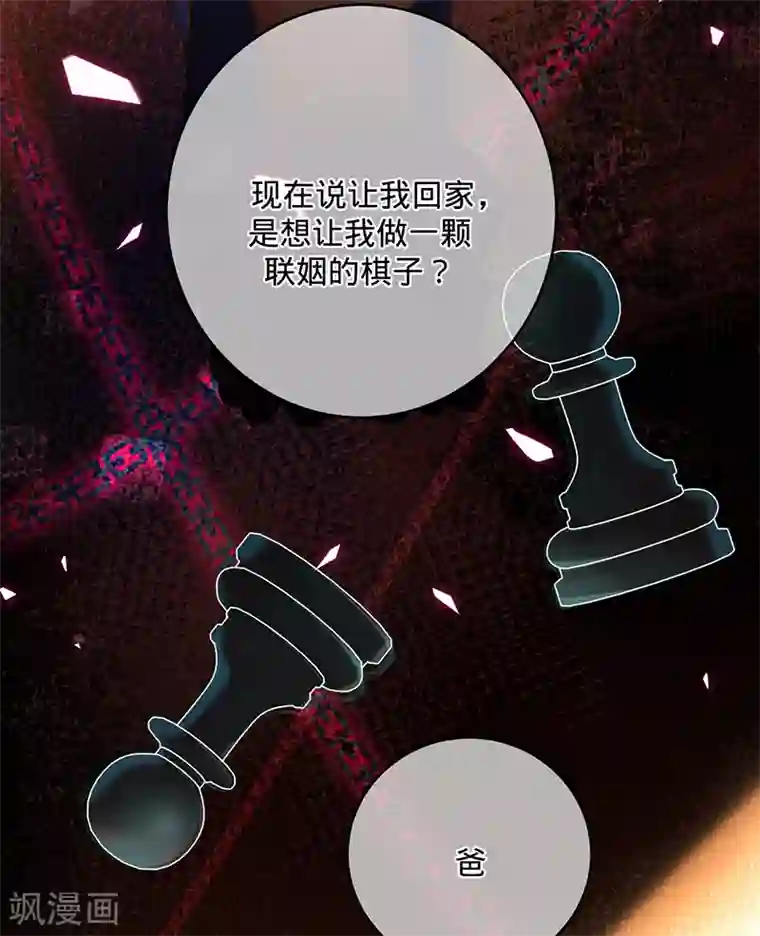 以婚之名第55话 联姻的棋子