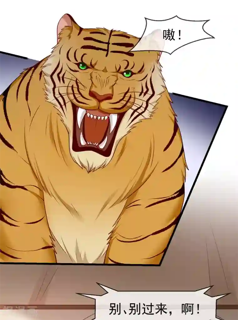 王妃是朵白莲花第36话 你还是不要插手的好