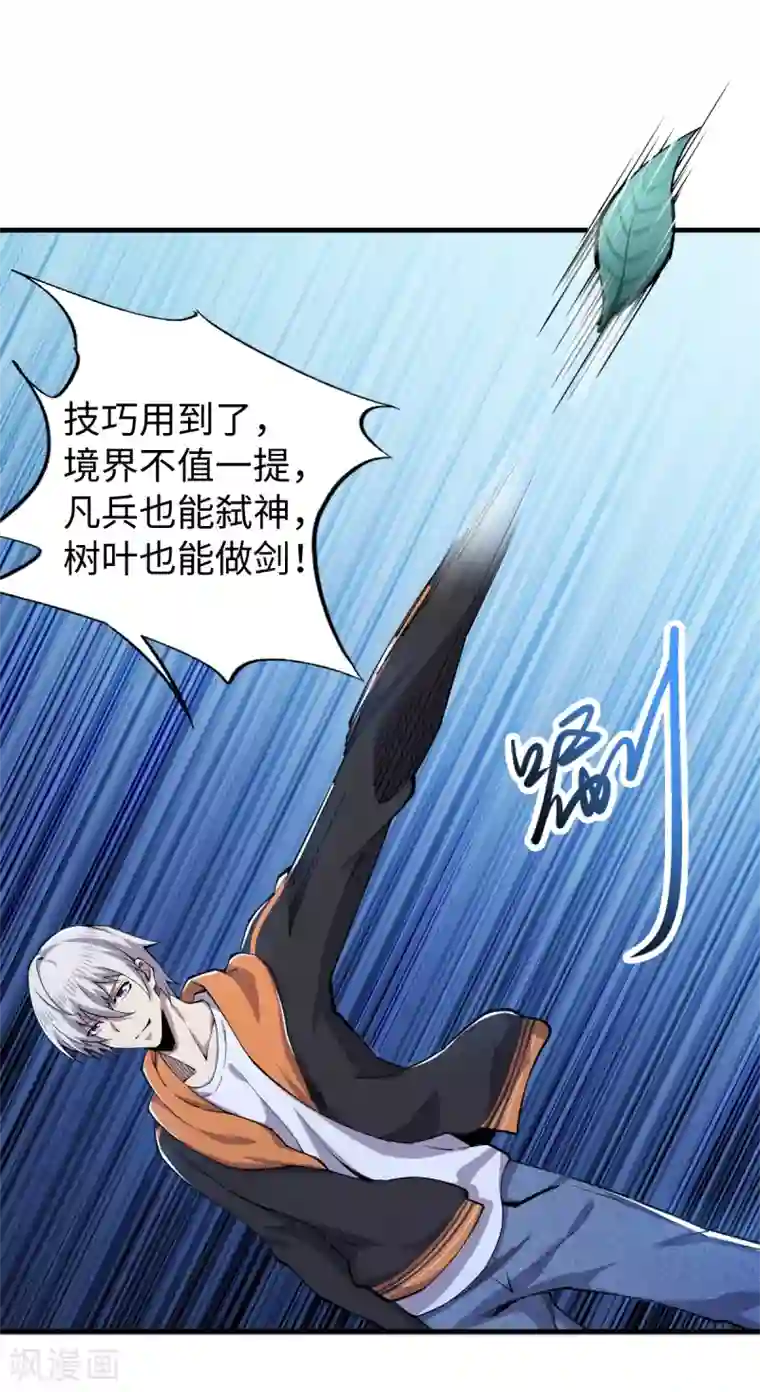 重生之剑神归来第42话 国术技巧