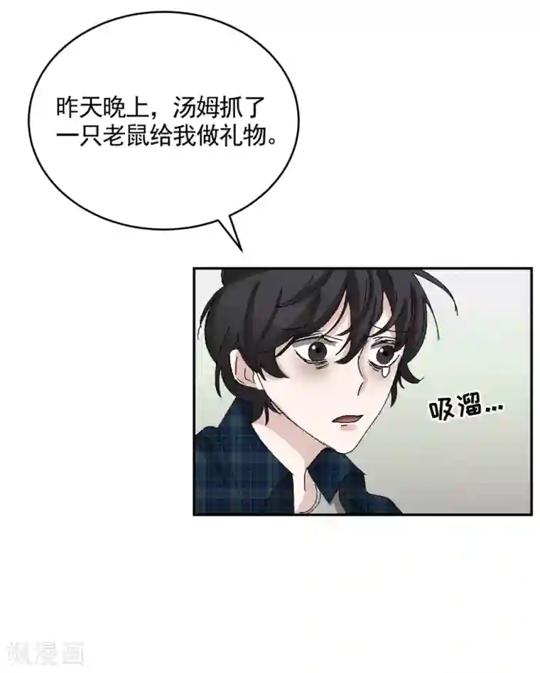 影子侦探第24话 变形警车珀利