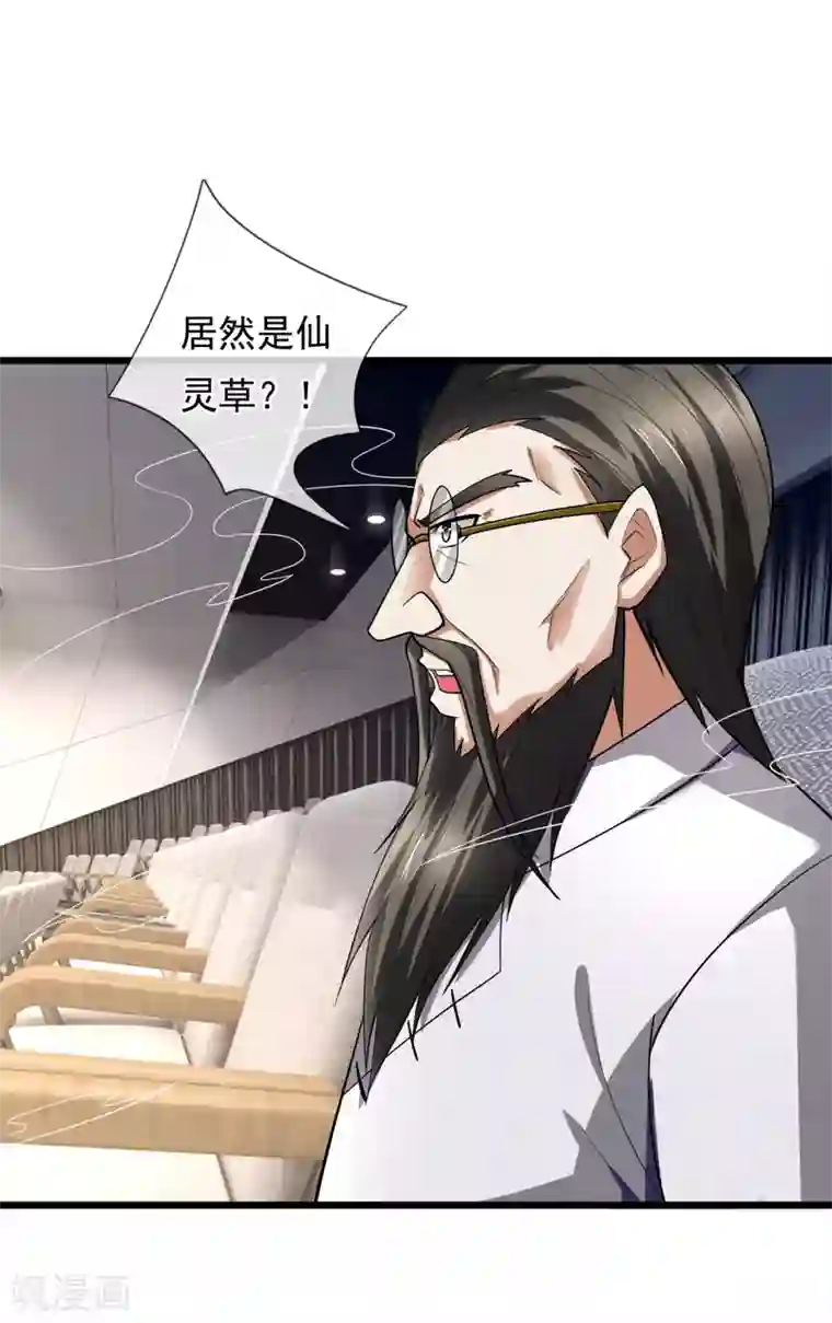 都市之逆天仙尊第185话 神秘遗迹，大有机缘