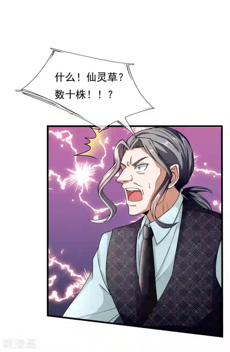 都市之逆天仙尊第185话 神秘遗迹，大有机缘