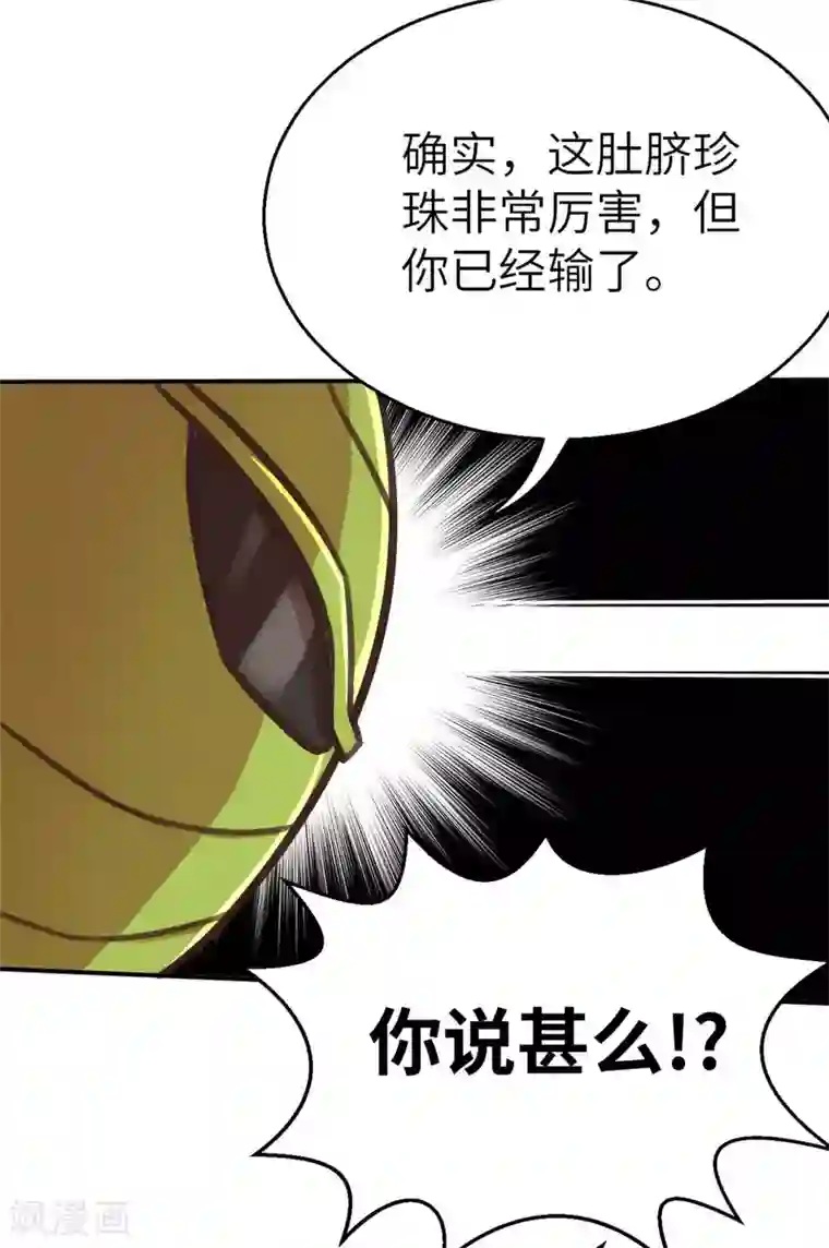 茶叶少女外传 超人战队剧场1