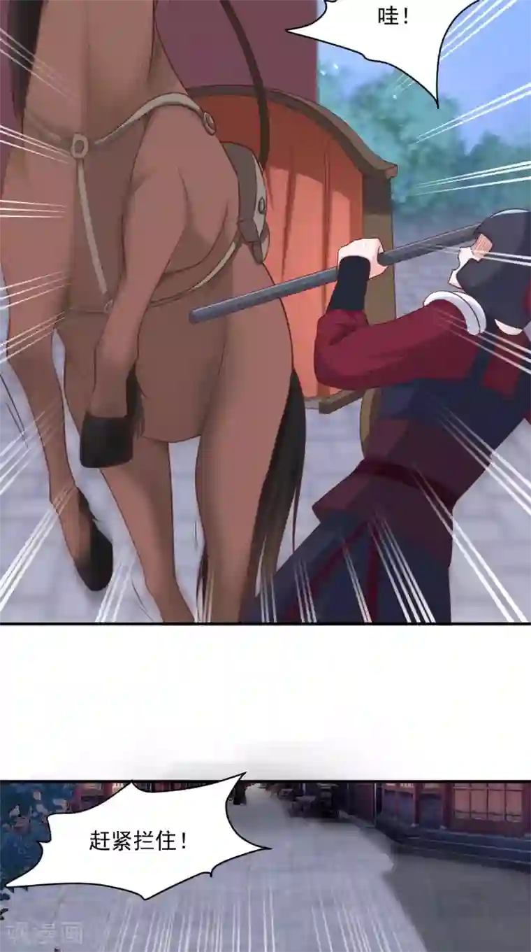 痴傻毒妃不好惹第157话 说王妃，王妃到！