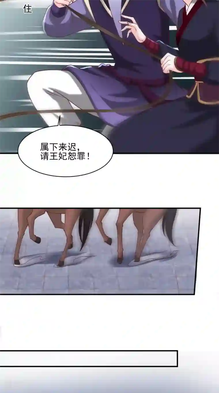 痴傻毒妃不好惹第157话 说王妃，王妃到！