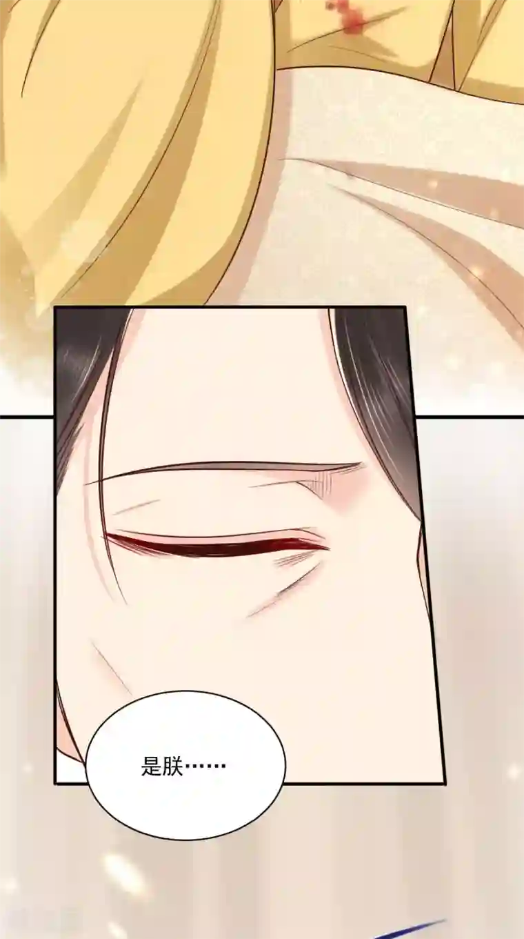 痴傻毒妃不好惹第158话 该做了断了