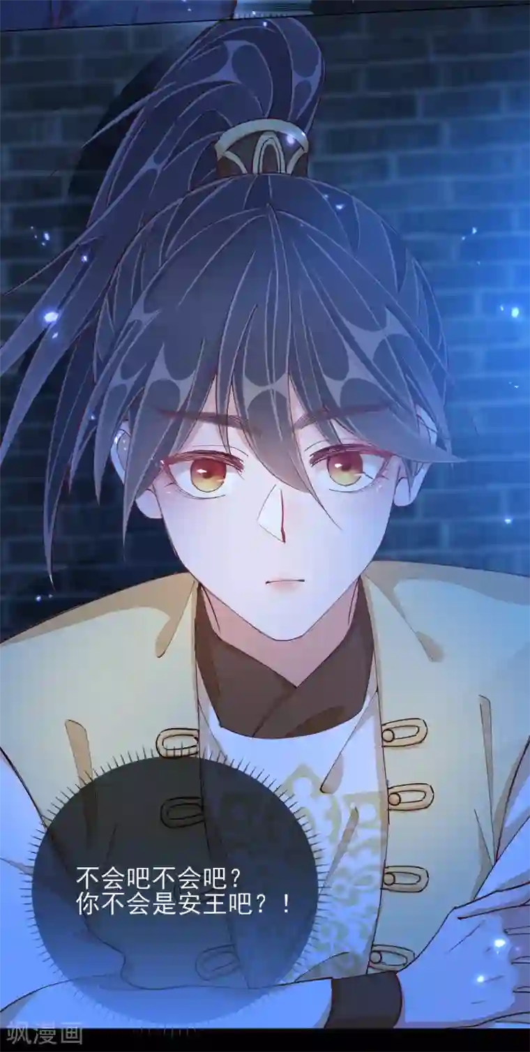 王妃的成长攻略第45话 往事