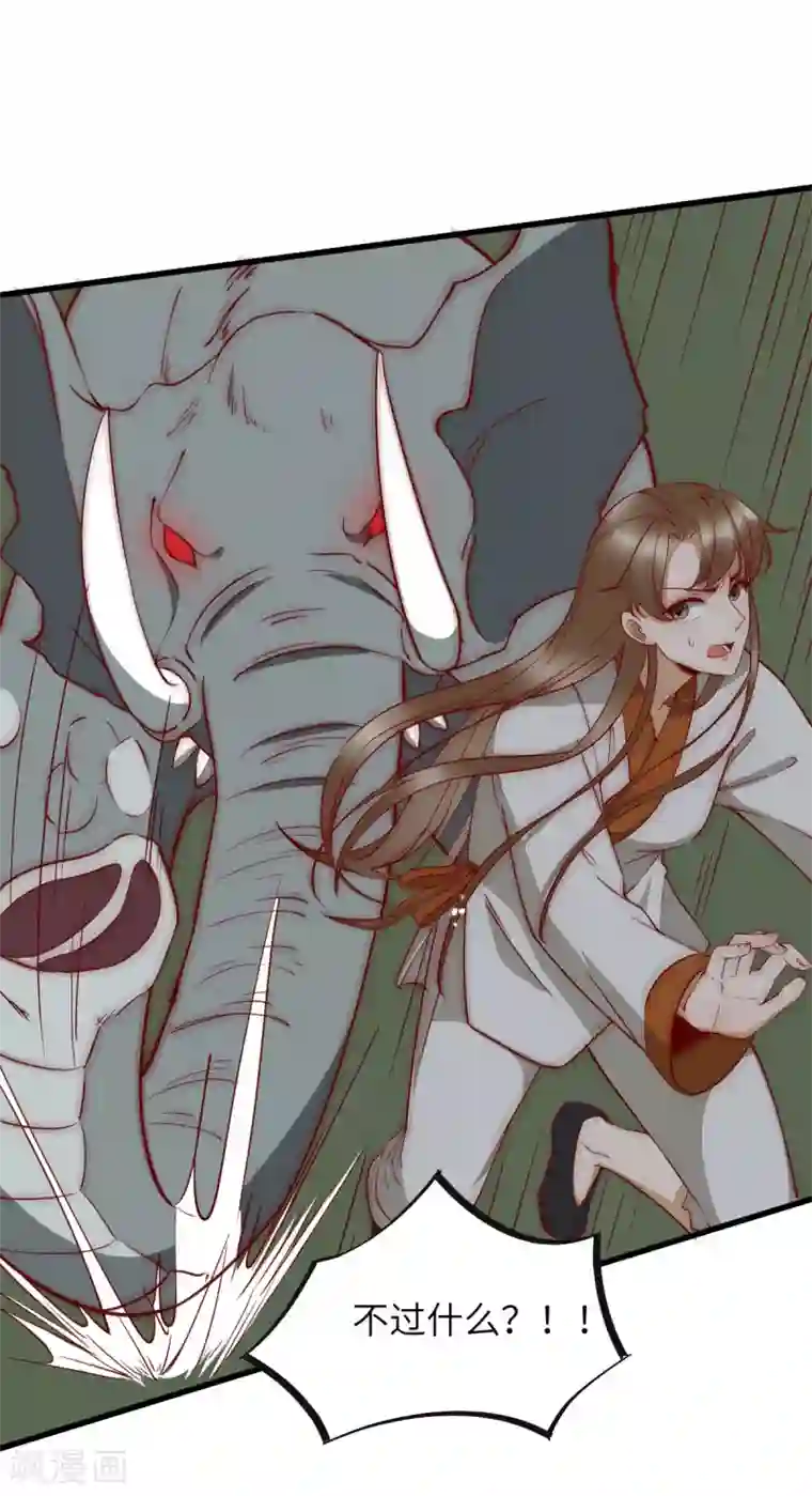 杀手王妃不好惹第78话 打怪升级不断