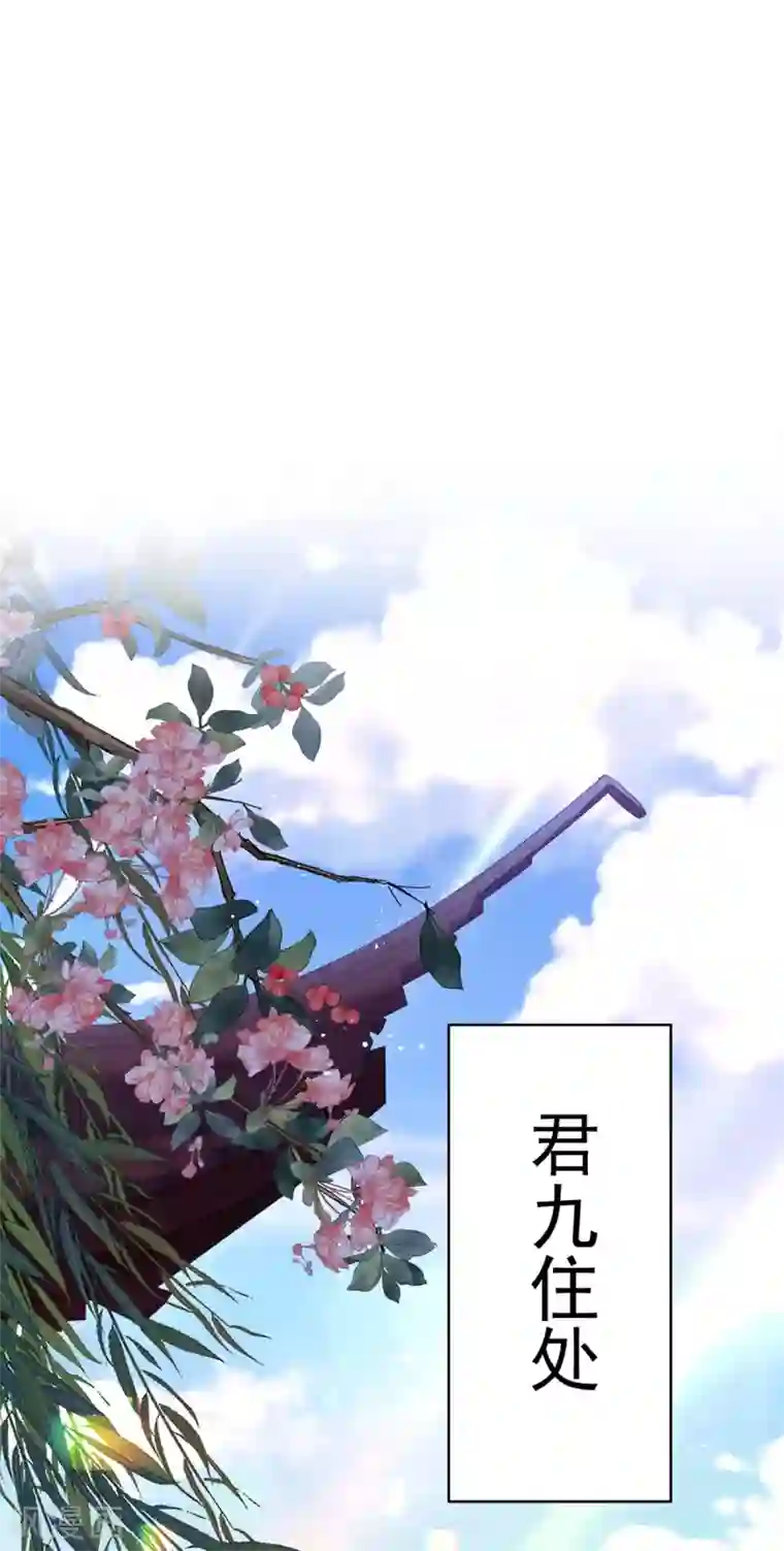 我在异界养男神：神医九小姐第82话 太子的小算盘