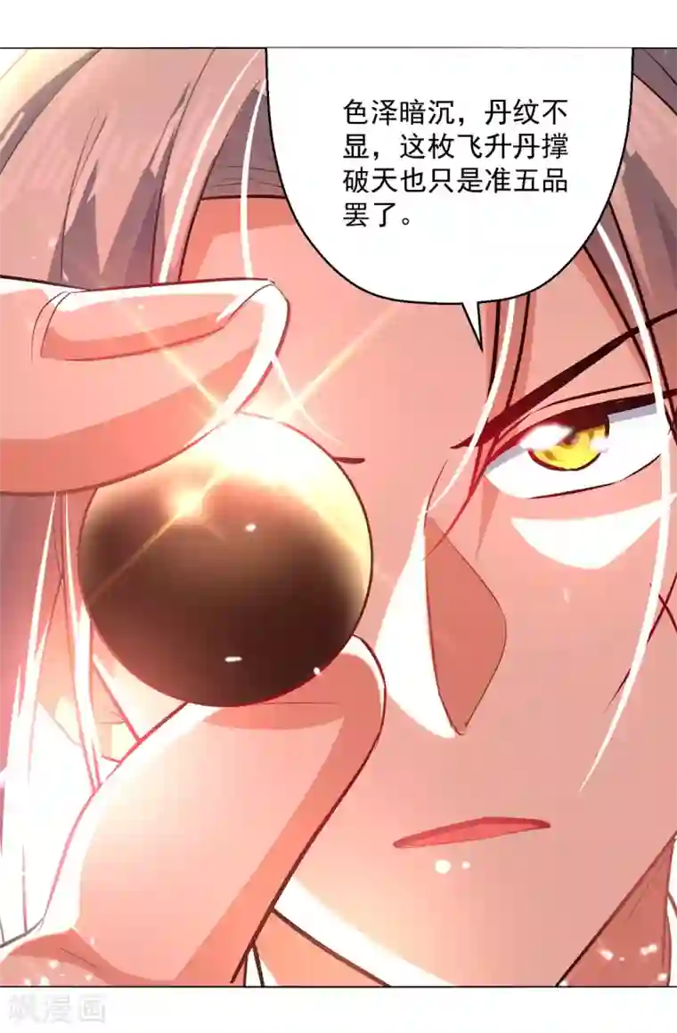 凌天神帝第171话 五品炼丹师