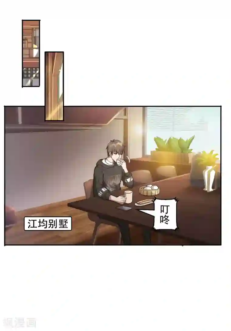 第一赘婿第41话 神秘人再现