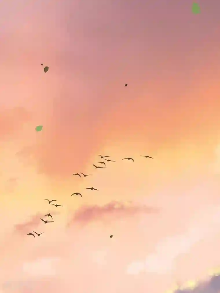 这个王妃路子野第58话 这战帖本公主收了！