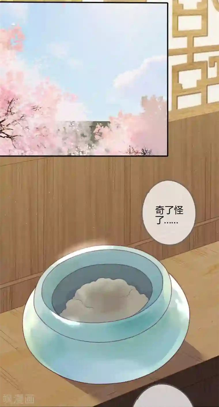 天恸璃泽殇第21话 琉璃泪：巨变前夕2