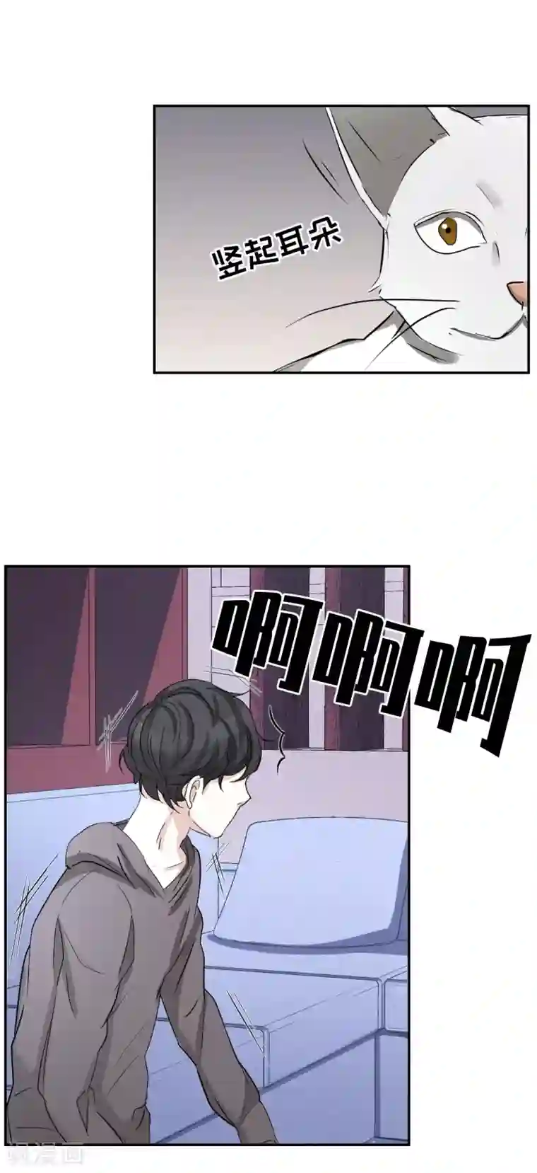 影子侦探第25话 失火事件又双叒发生了