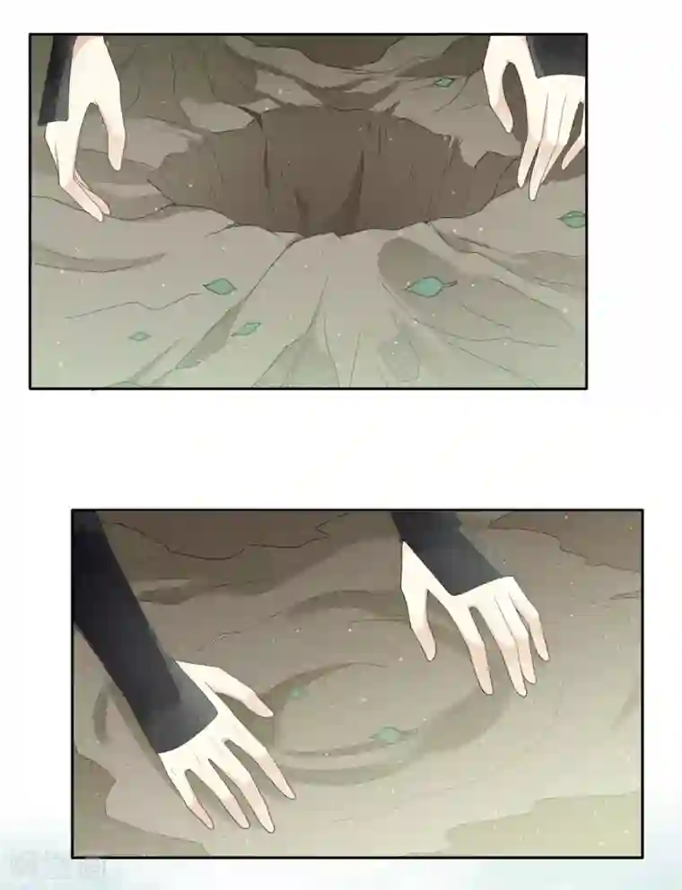 长相思第9话 白羽金冠雕1