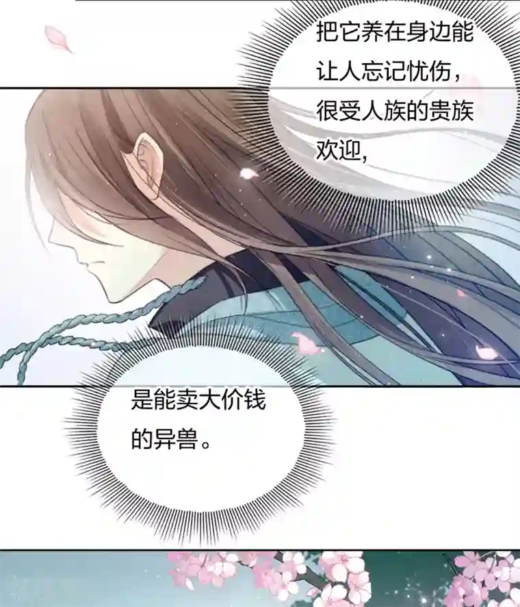 长相思第9话 白羽金冠雕1