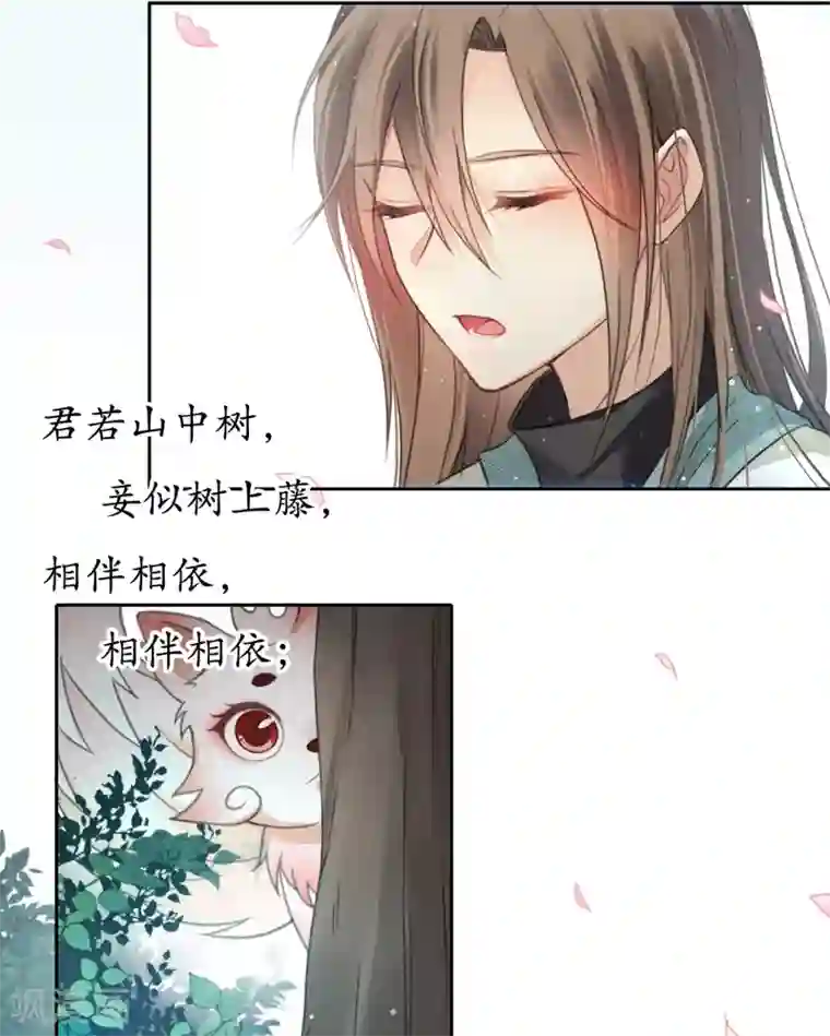 长相思第9话 白羽金冠雕1