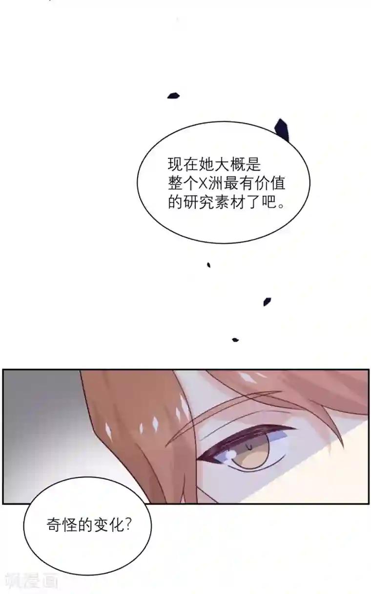 向黑化总裁献上沙雕第92话 柴岚大危机