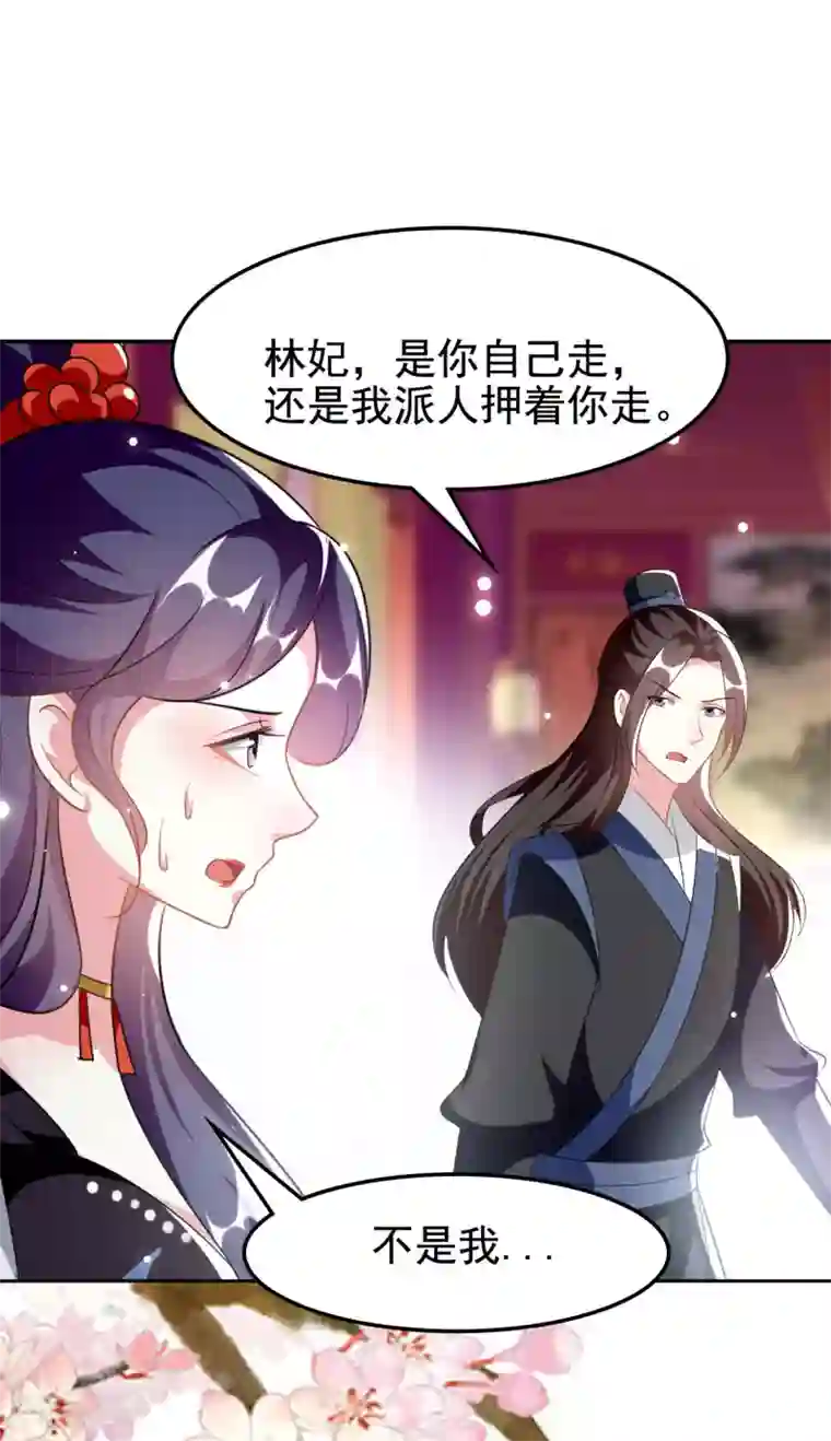 坏心王爷别惹我第244话 林妃入狱